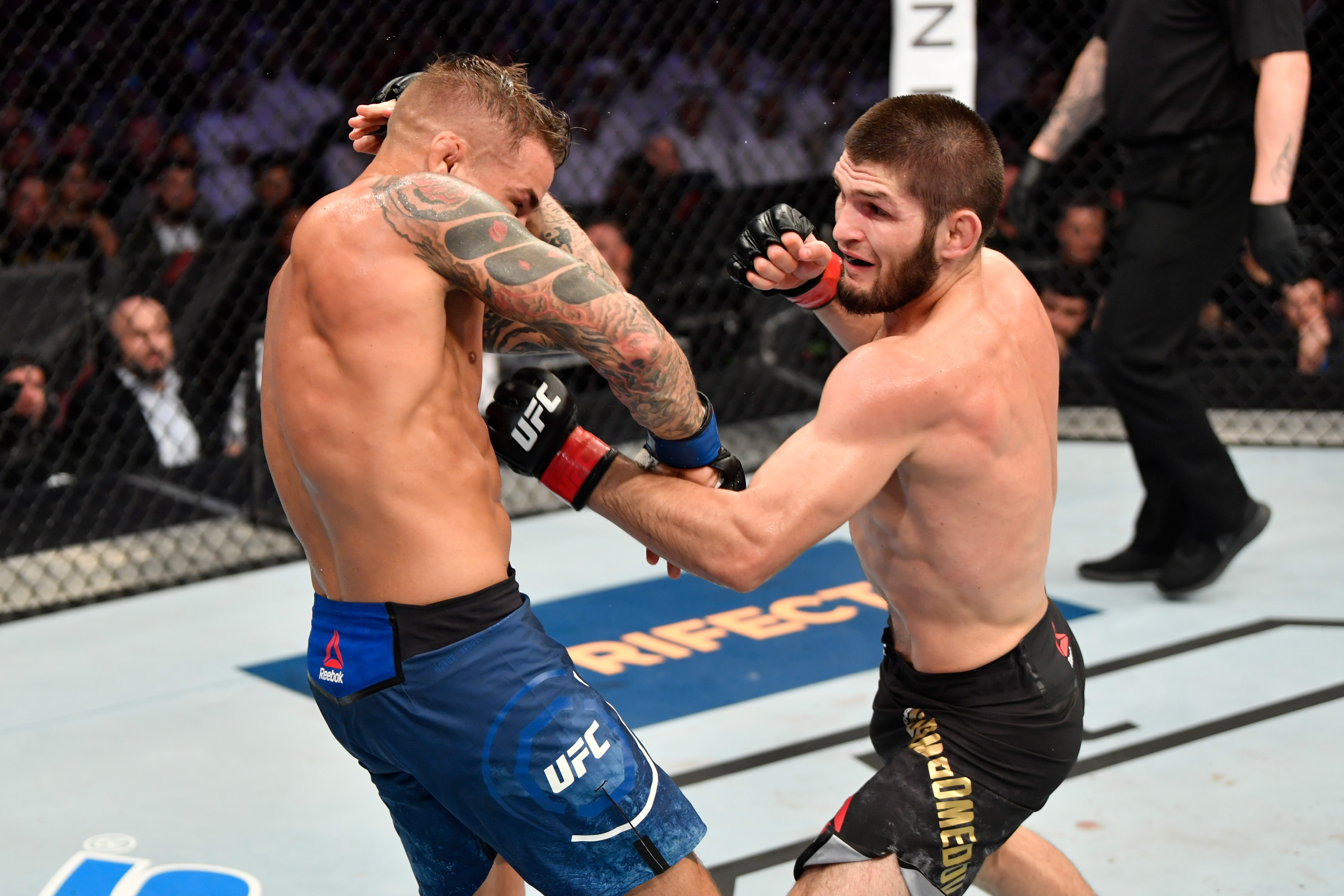 2019: UFC & DCT announce five-year partnership