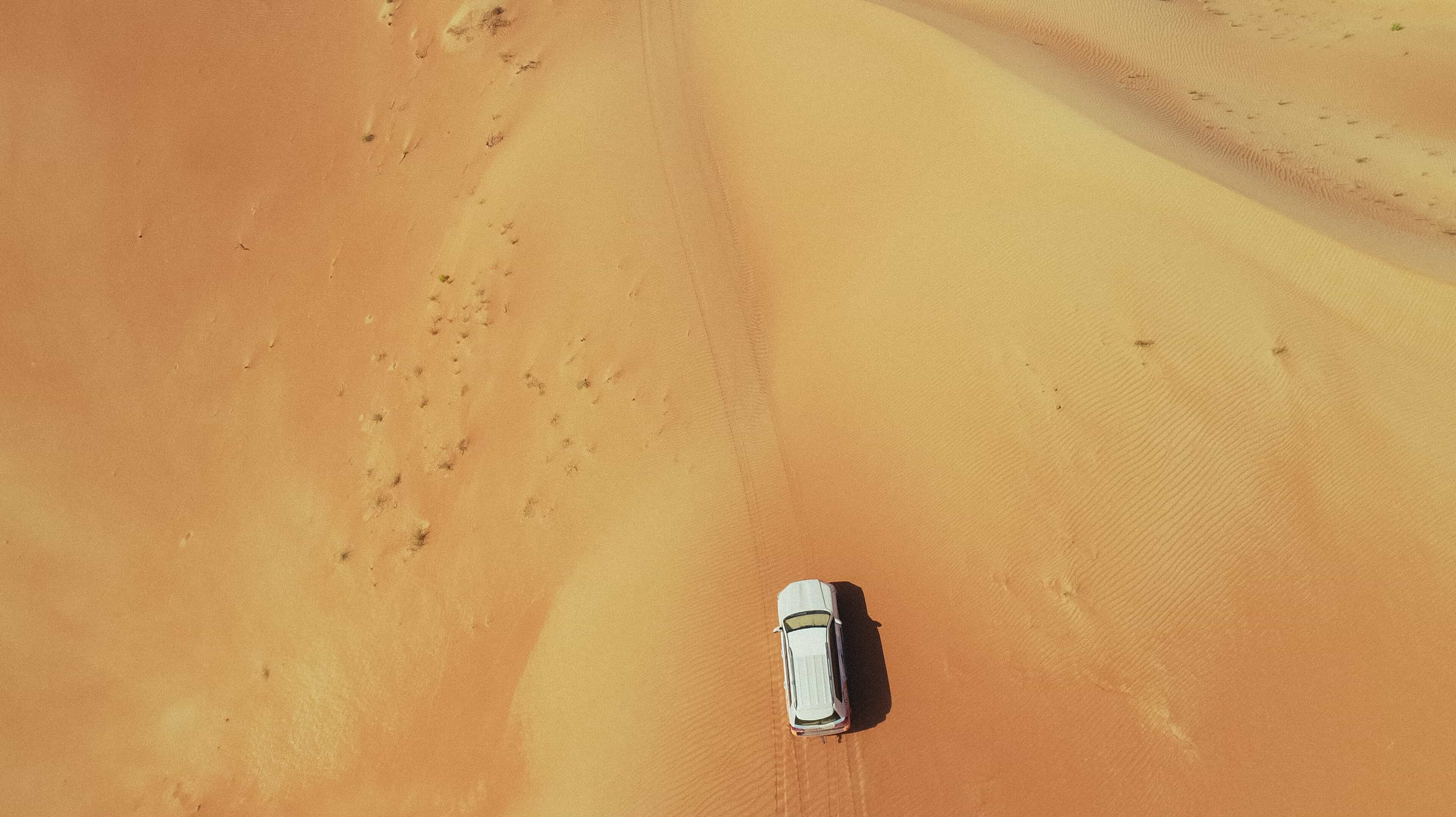 القوارب الصفراء
