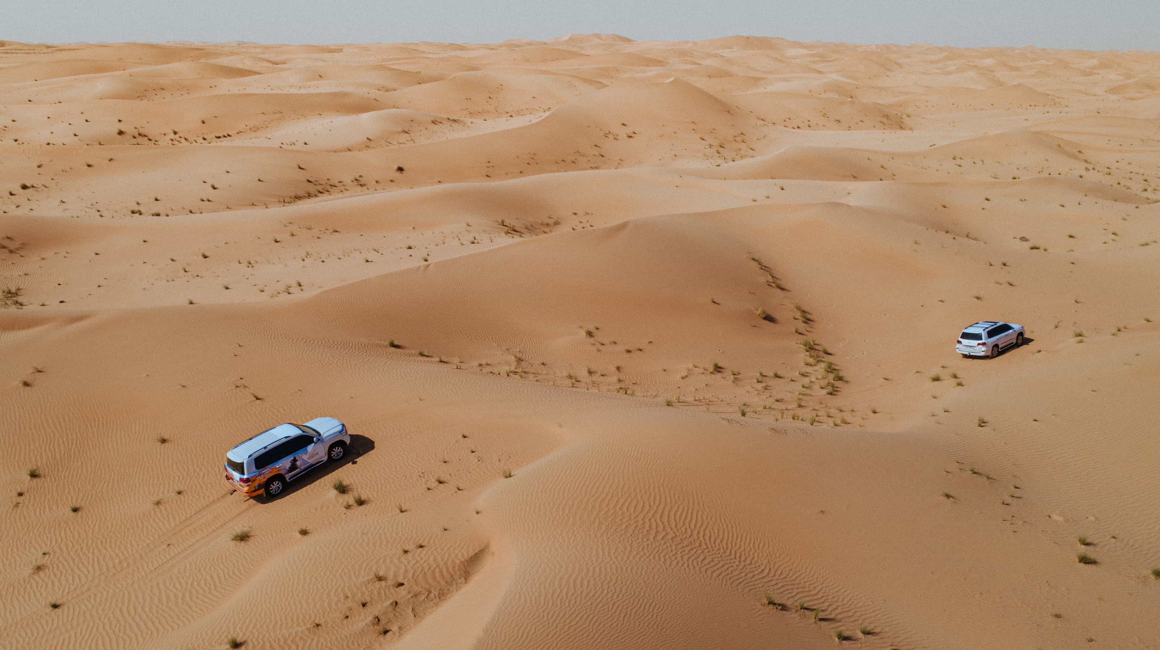 القوارب الصفراء