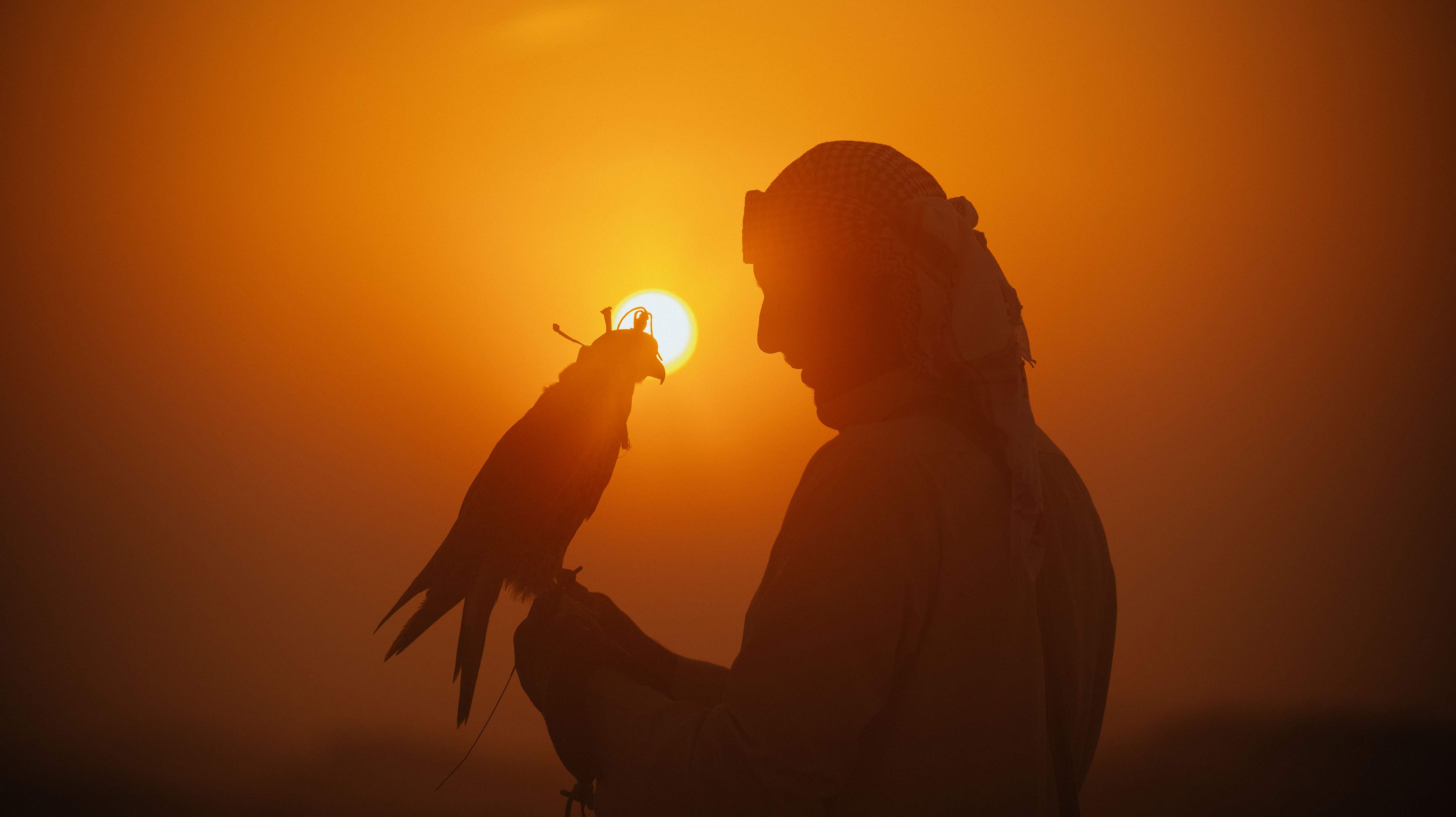 رجل إماراتي يحمل صقر في الصحراء عند غروب الشمس