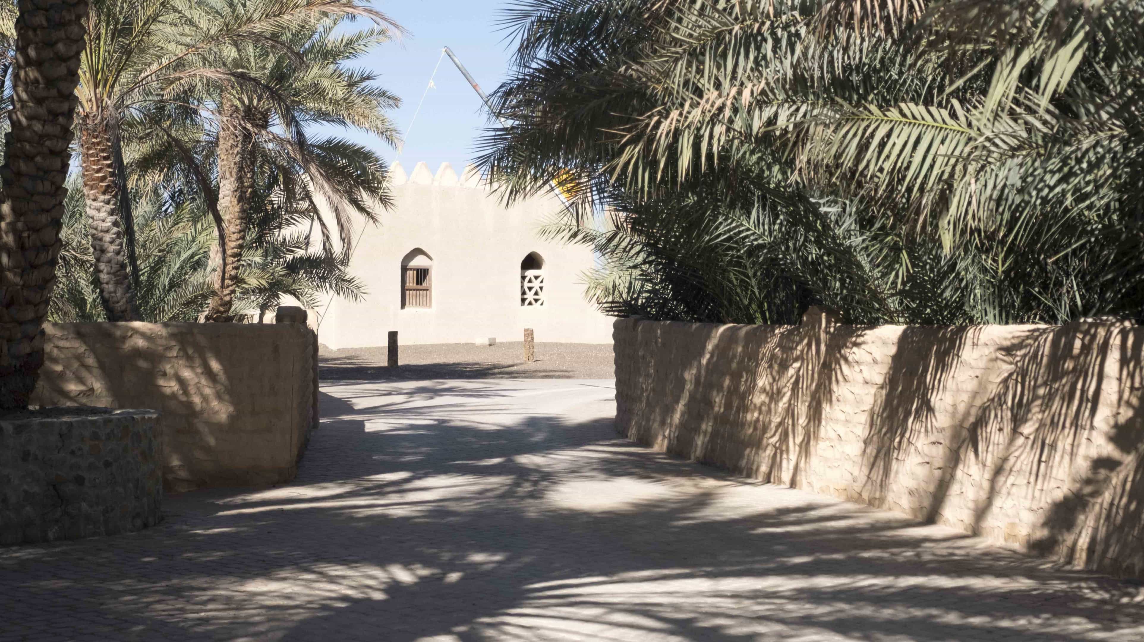 Oasis Al Qattara