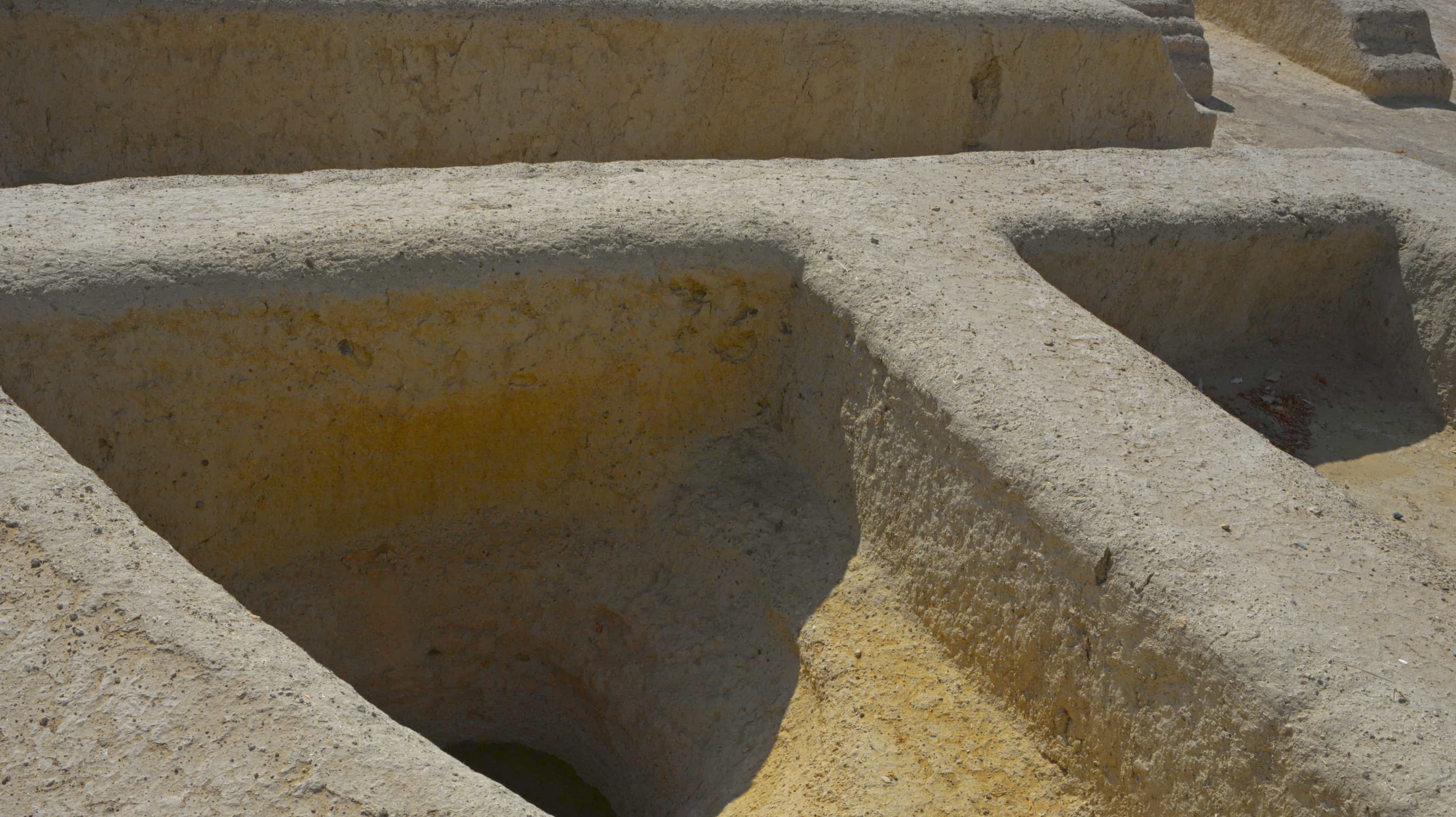 hili-archaeological-garden