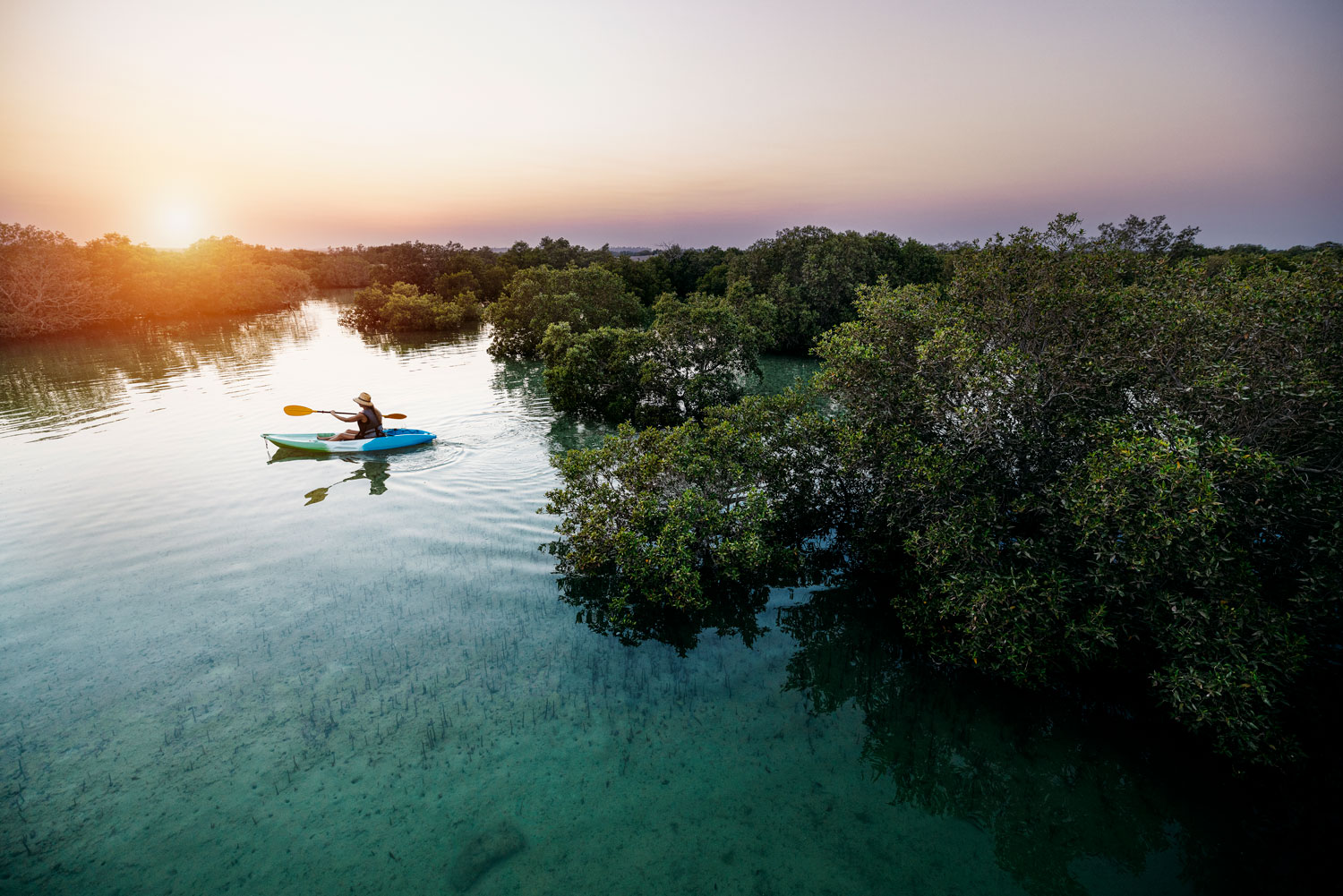 Kayaking through serene mangroves at Jubail Mangrove Park in Abu Dhabi during a beautiful sunset.