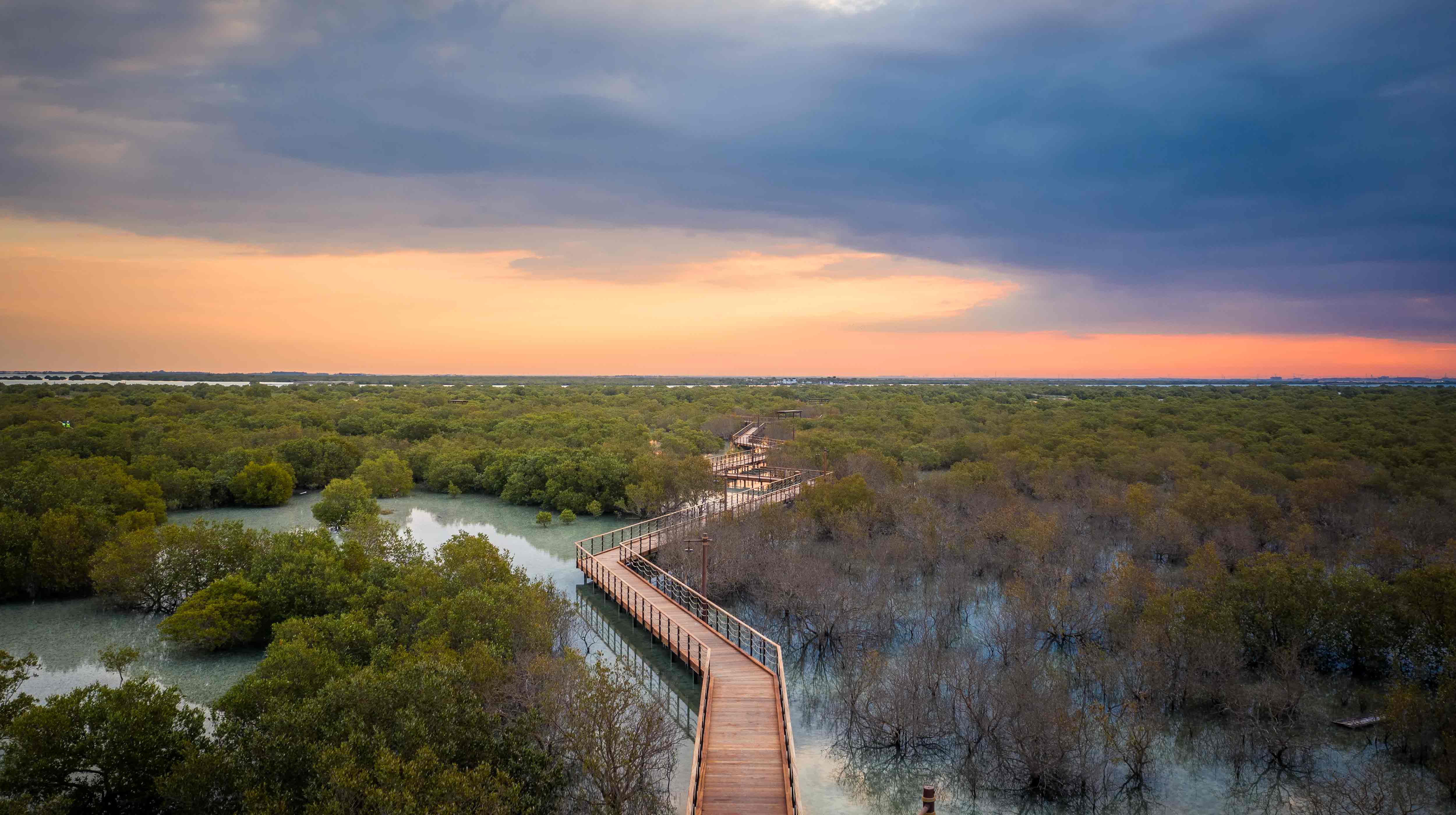 9. Jubail Mangroves