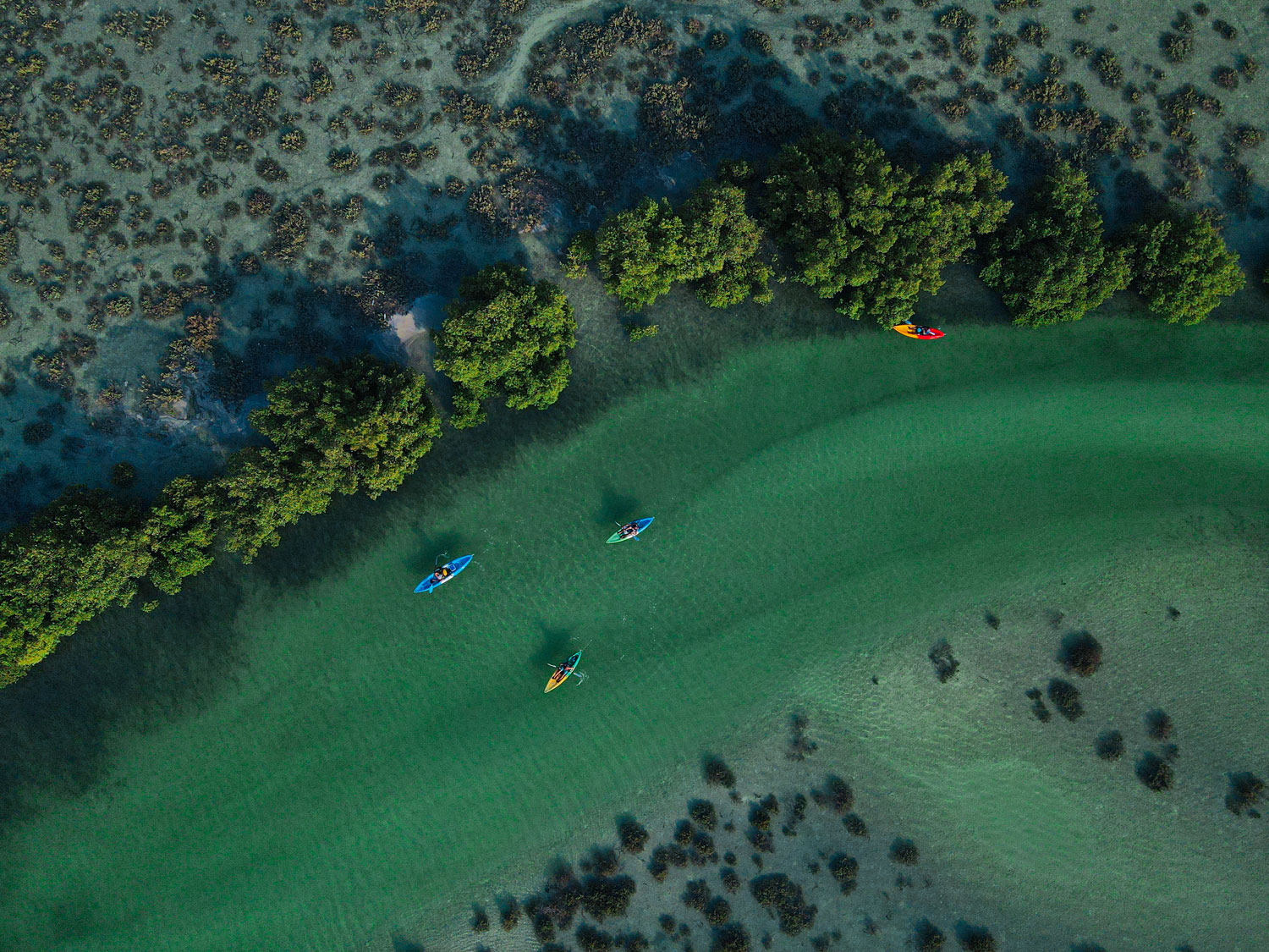 Kayak through an ecological marvel at Jubail Mangrove Park