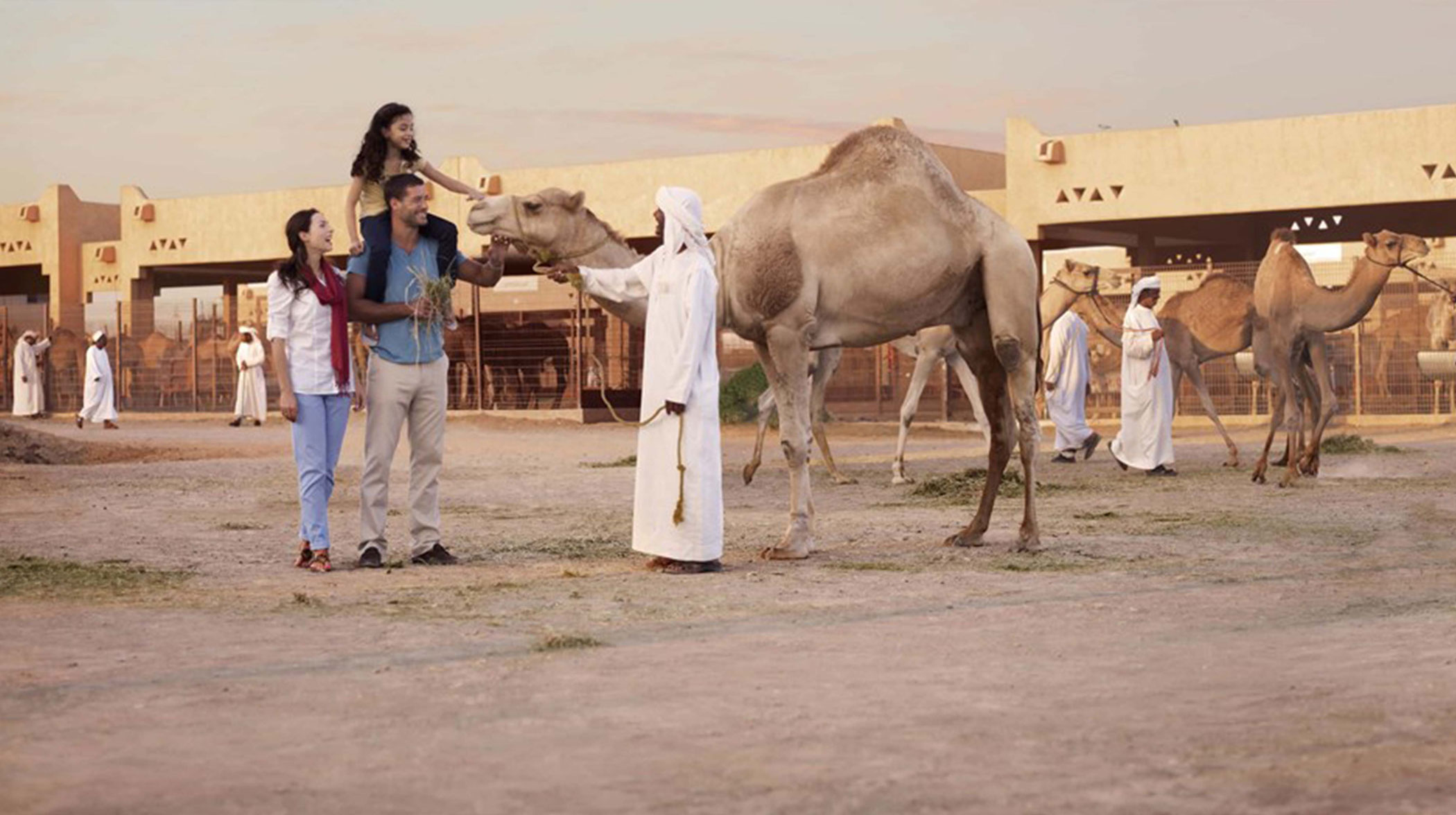 7. Visit Al Ain Camel Market 