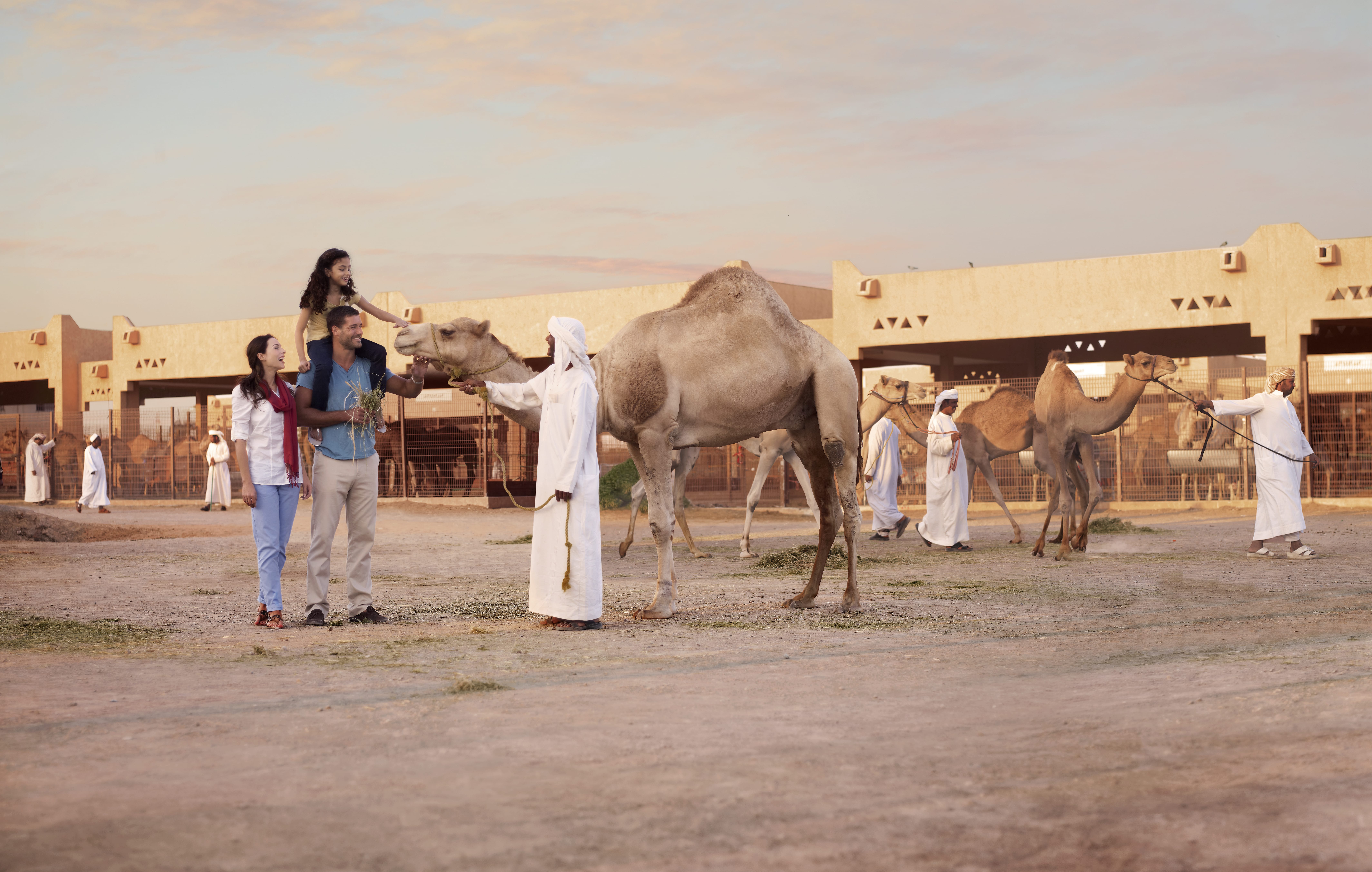Visit the Camel Market 