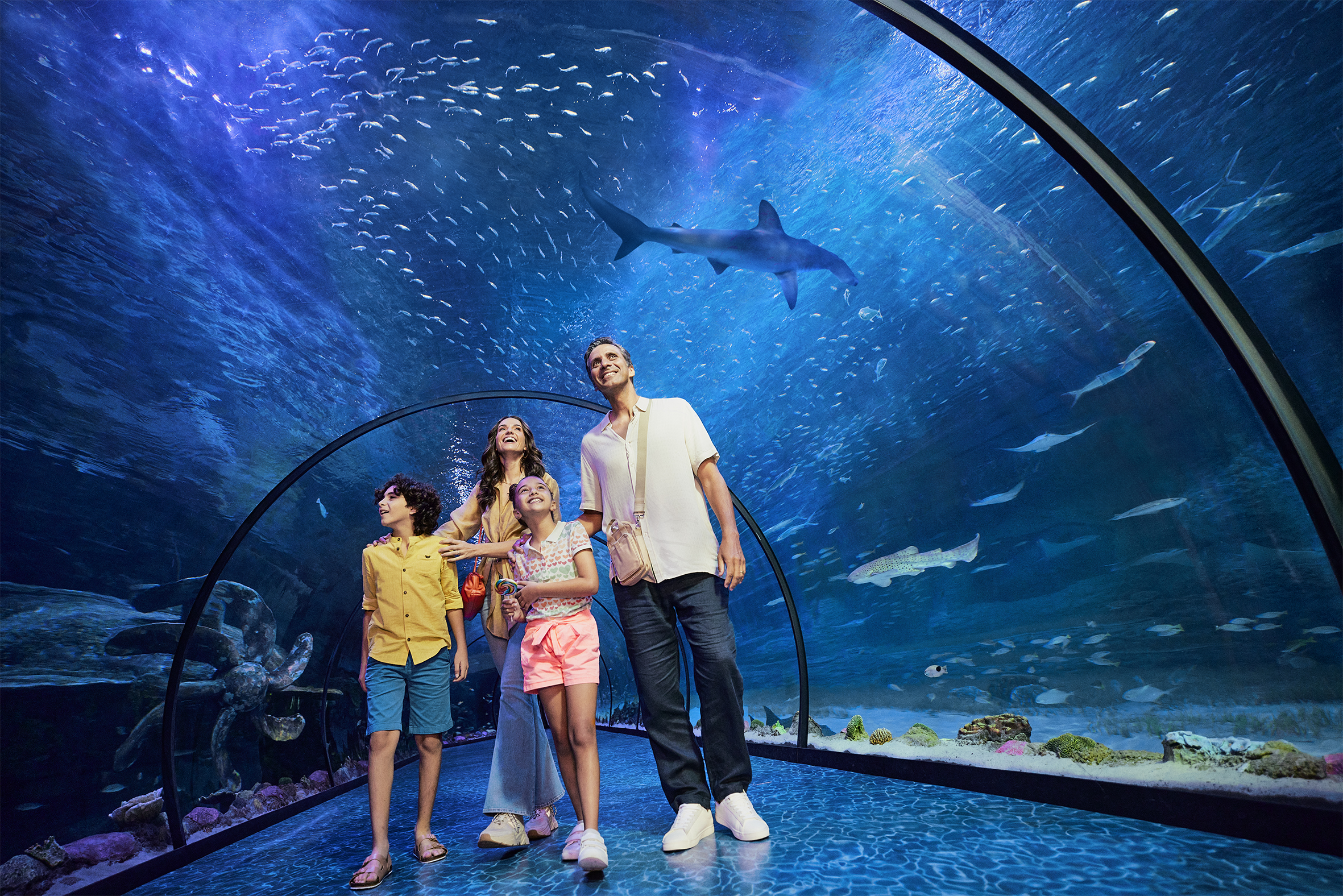 Summer school holidays in Abu Dhabi