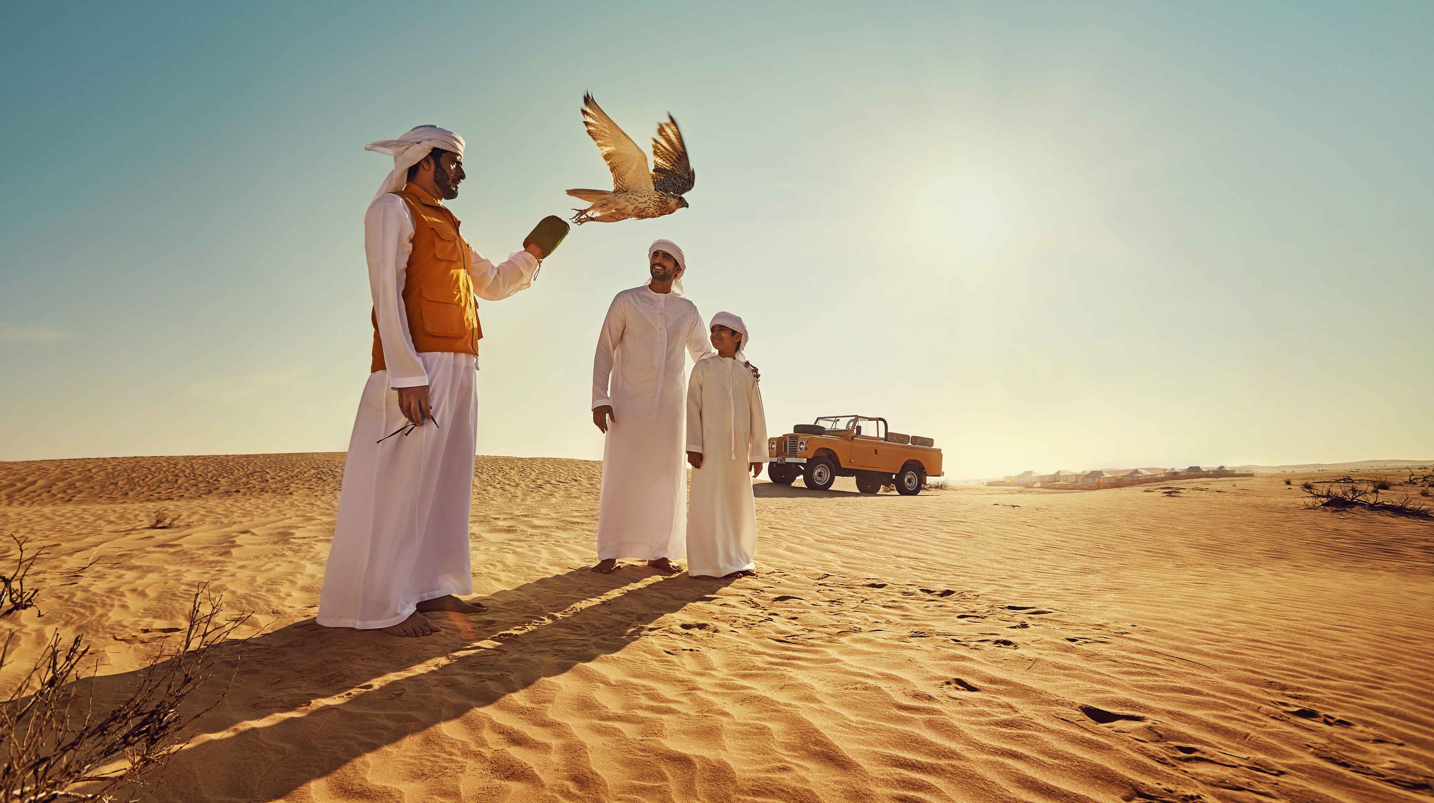 falconry