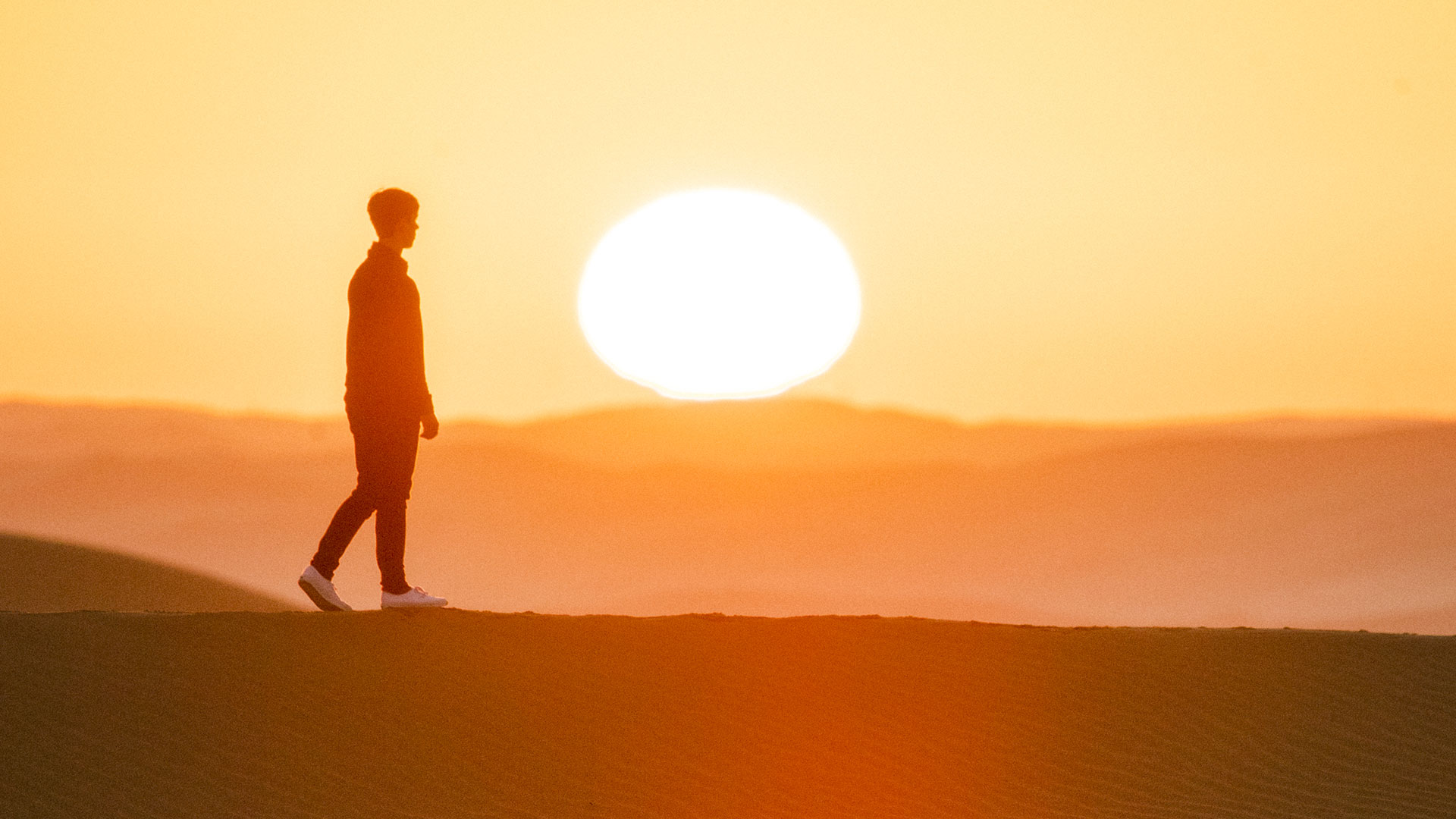 The Abu Dhabi desert