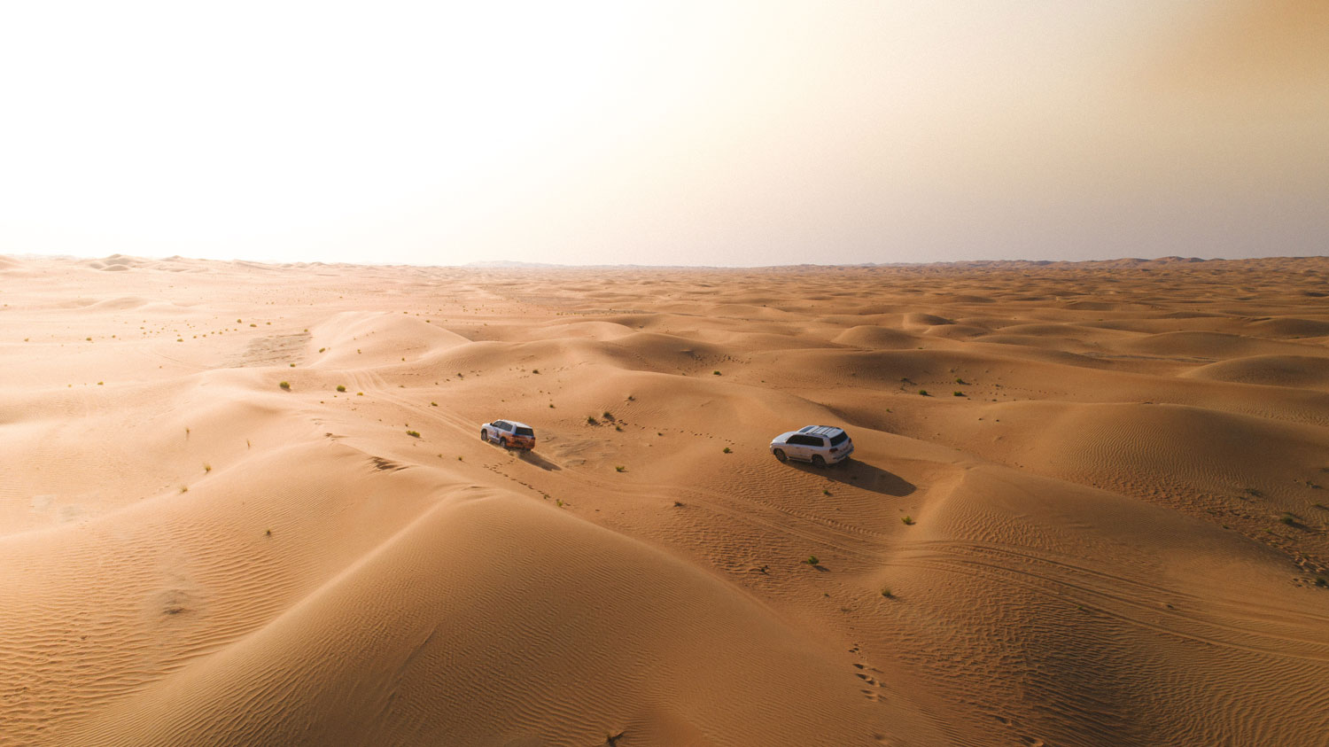 Un viaje por las dunas de Abu Dhabi que te dejará con la boca abierta