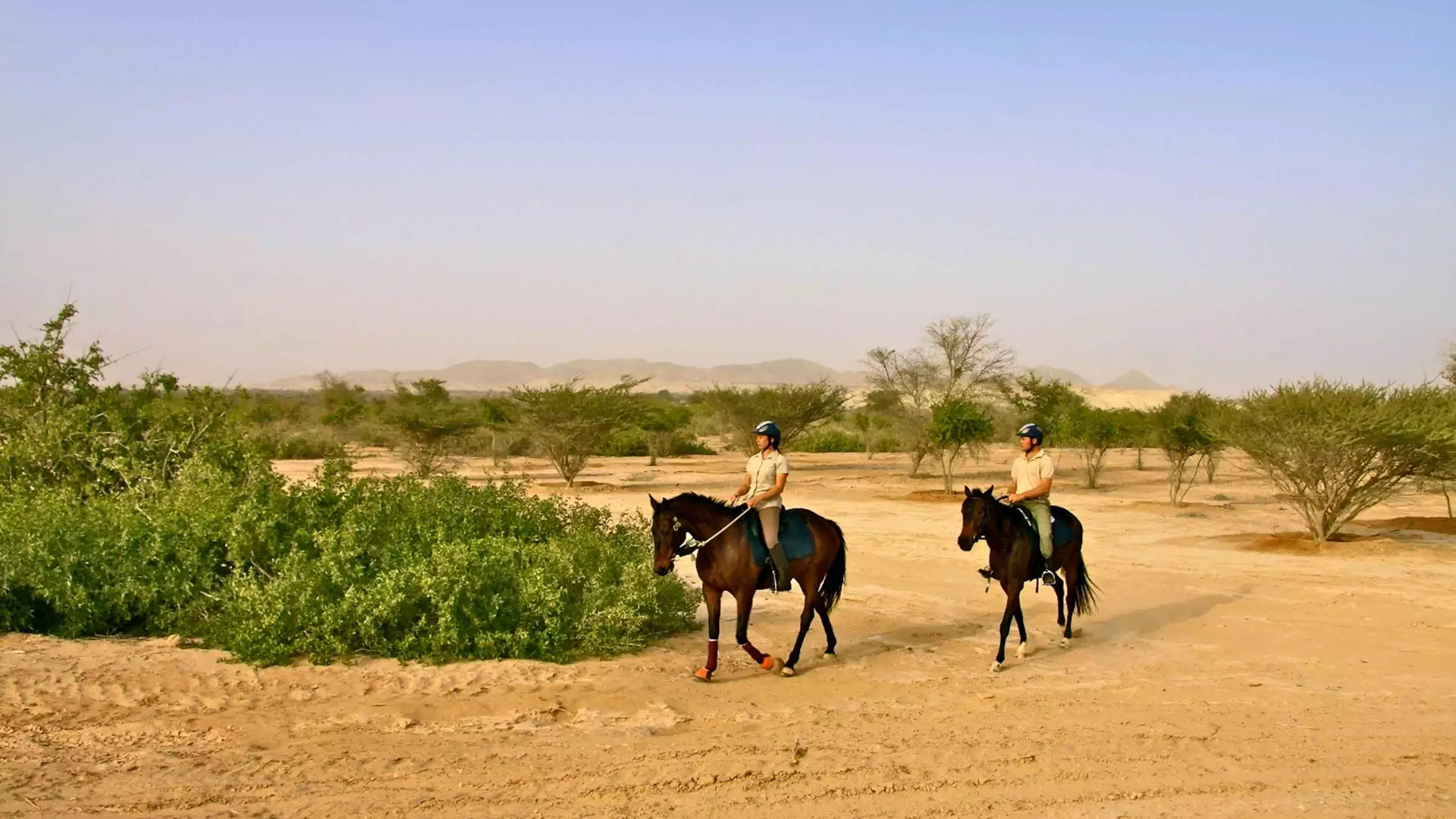 Sir Bani Yas Stables