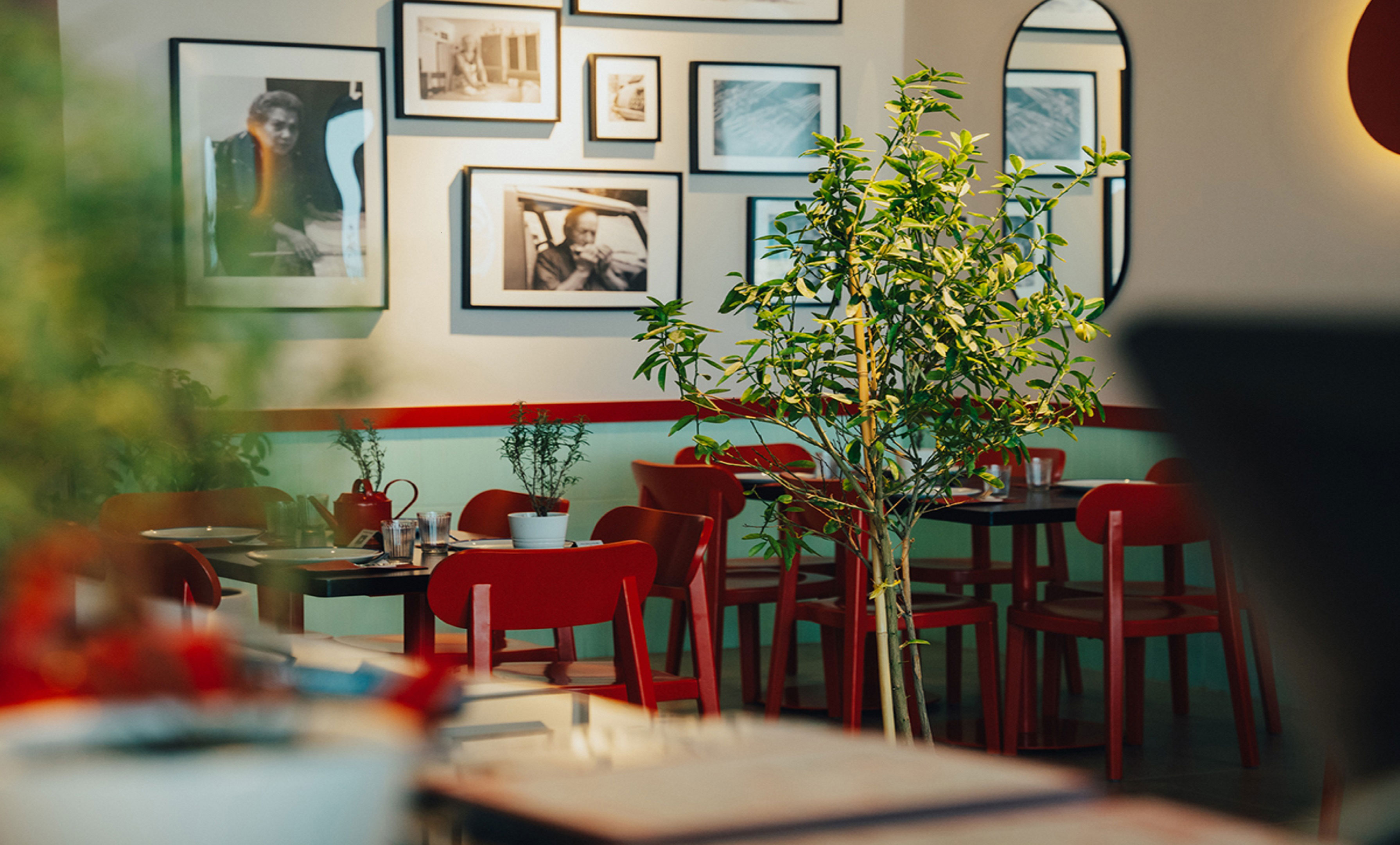 antonia trattoria