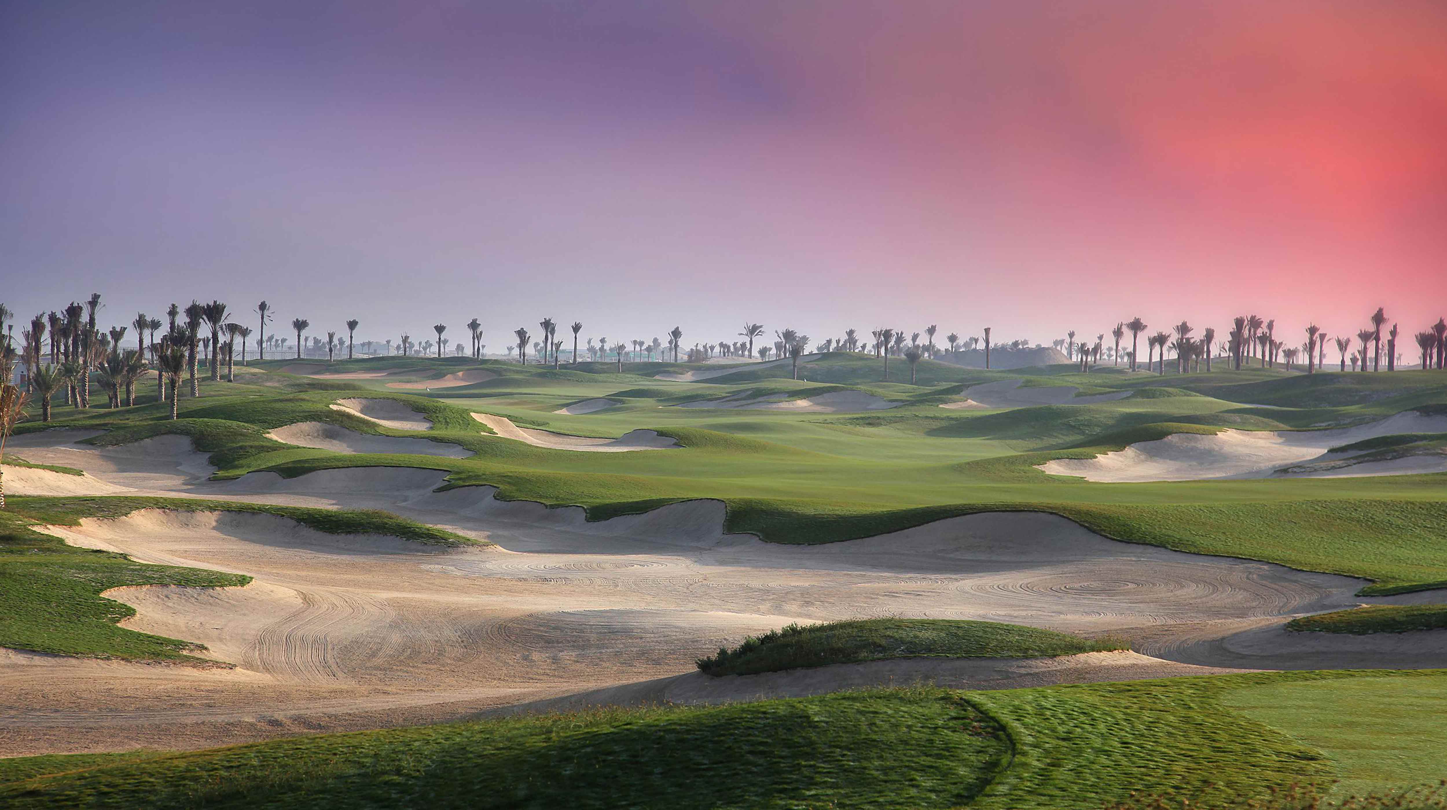 Paysage de campagne estival avec une ferme, un pré, des arbres et de l'herbe près de l'île Saadiyat d'Abu Dhabi.